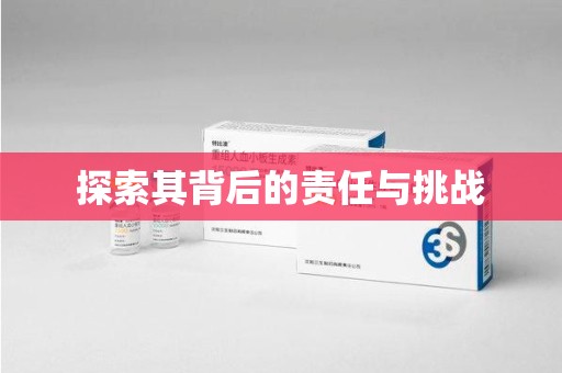 北京探索其背后的责任与挑战